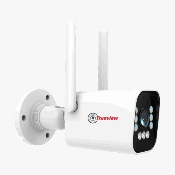 Related Product Image