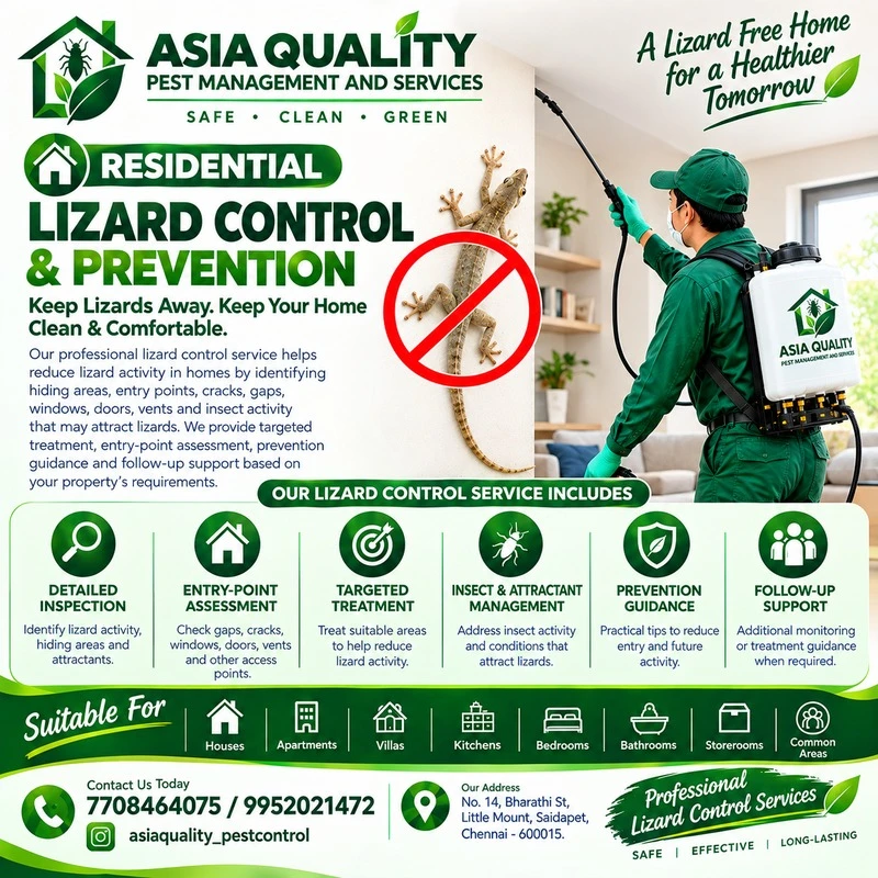 Residential Lizard Control & Prevention
