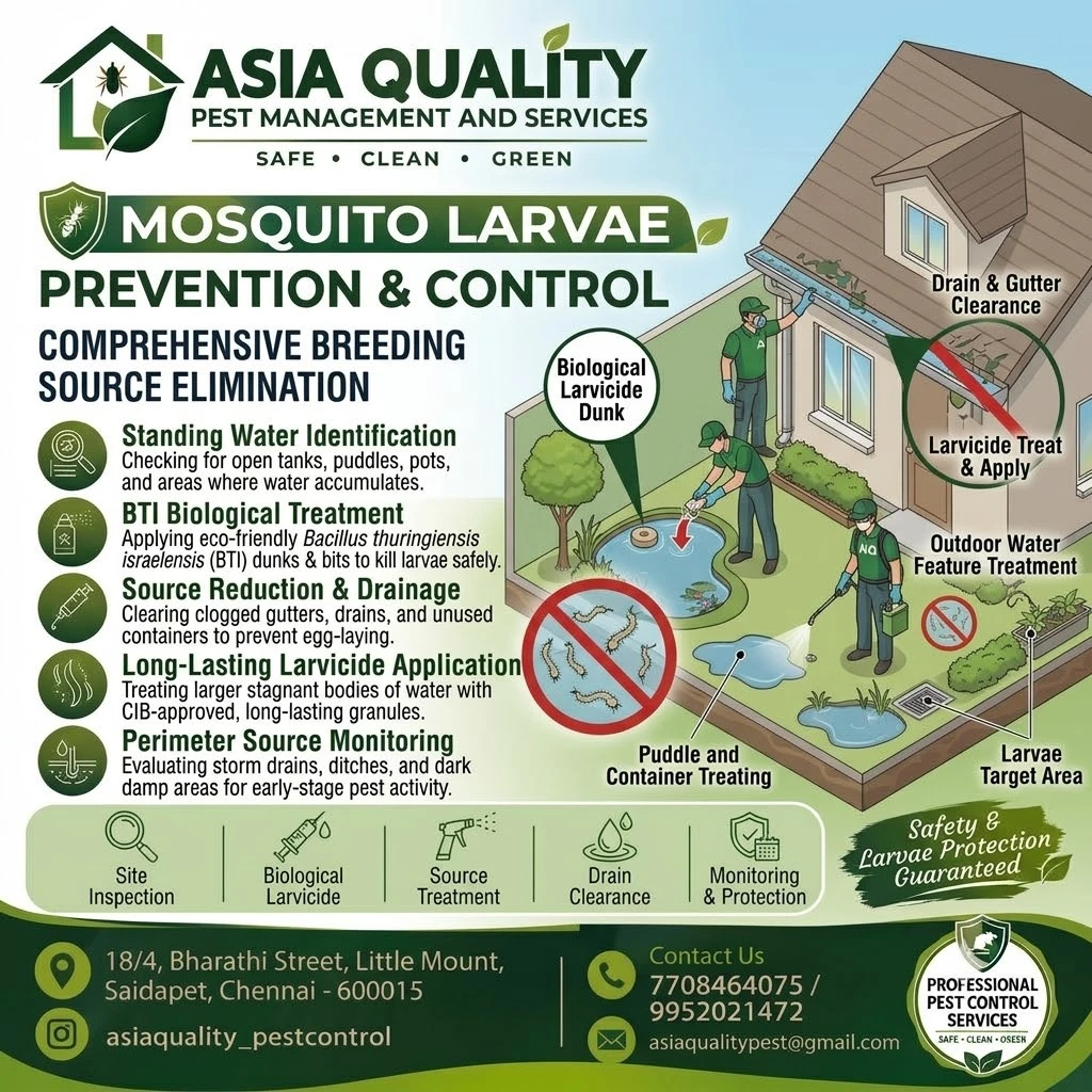 Mosquito Larvae Prevention & Control Service